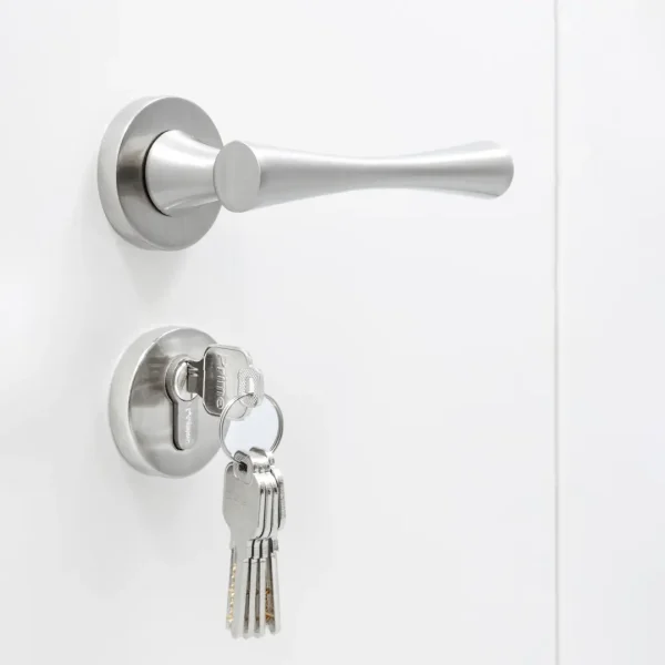 Rosette Door Handle | 3200R | BAYMAX Prime - Image 6