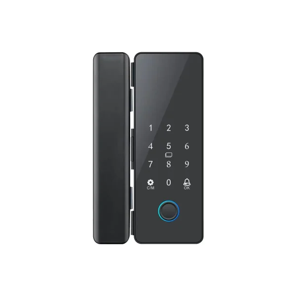 smart lock g10