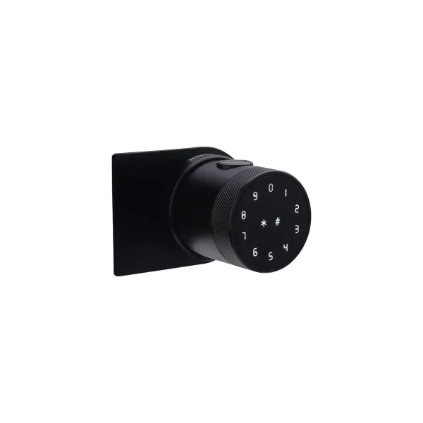 Glass smart lock g35
