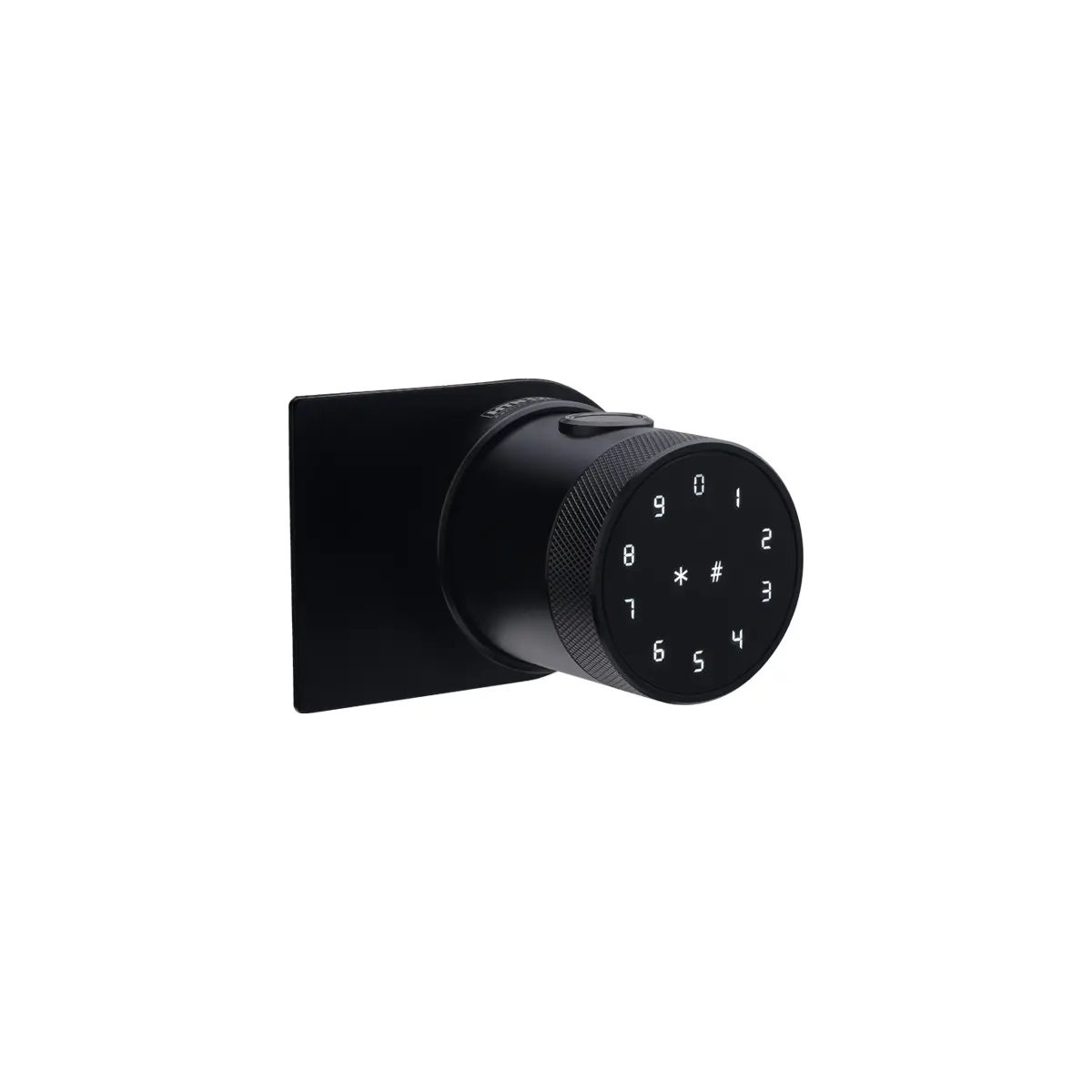 Glass smart lock g35
