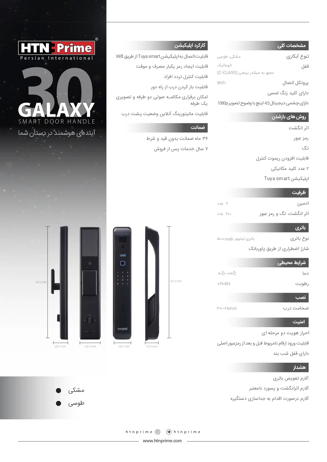 Smart Door Lock Flyer