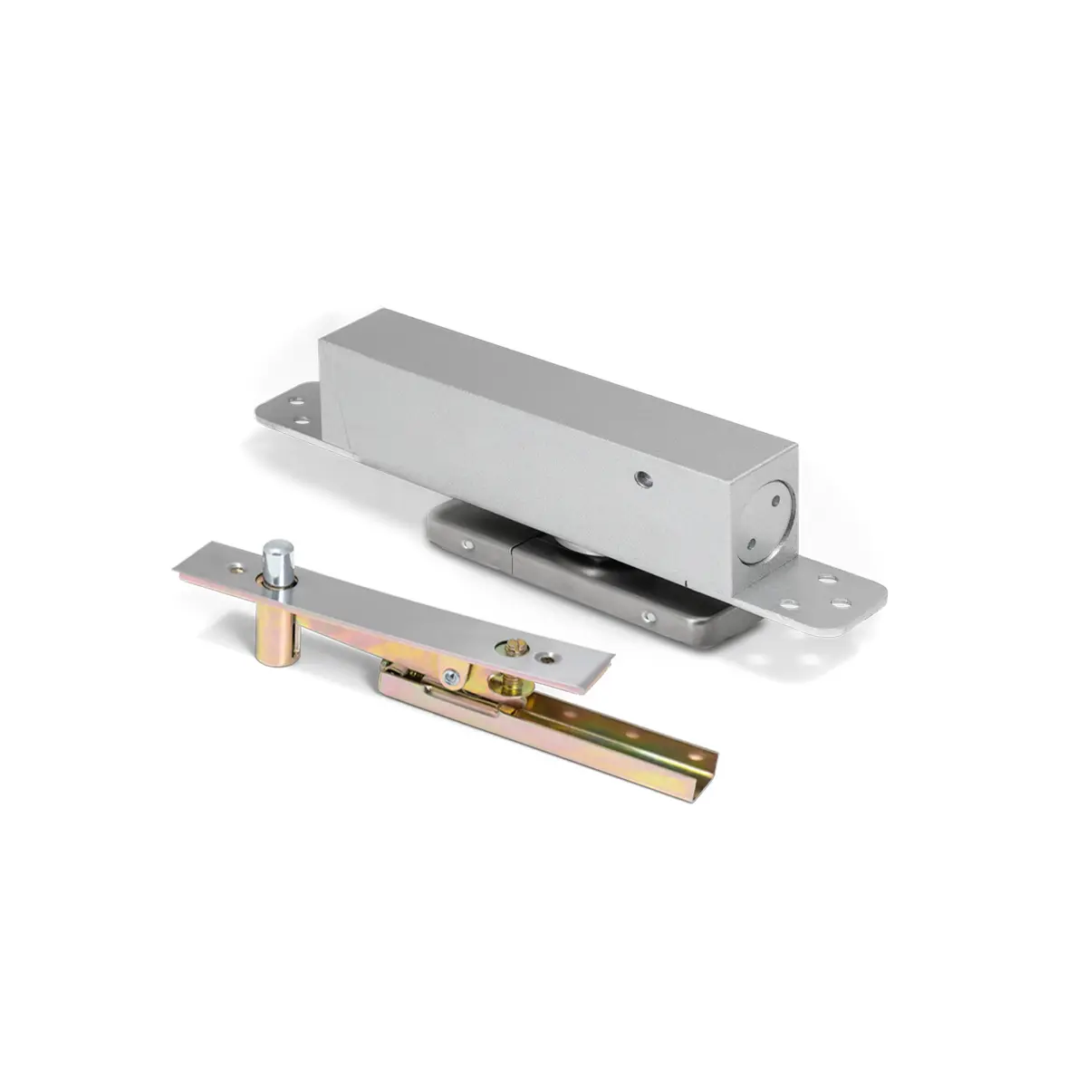 Economy Pivot Hinge